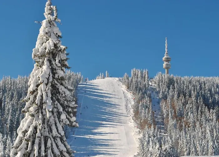 Grand Monastery Private In * Pamporovo